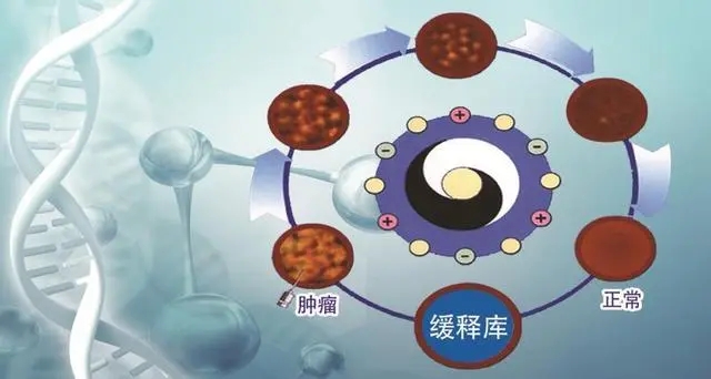 肿瘤患者需要有尊严的治疗——“肿瘤缓释库疗法”