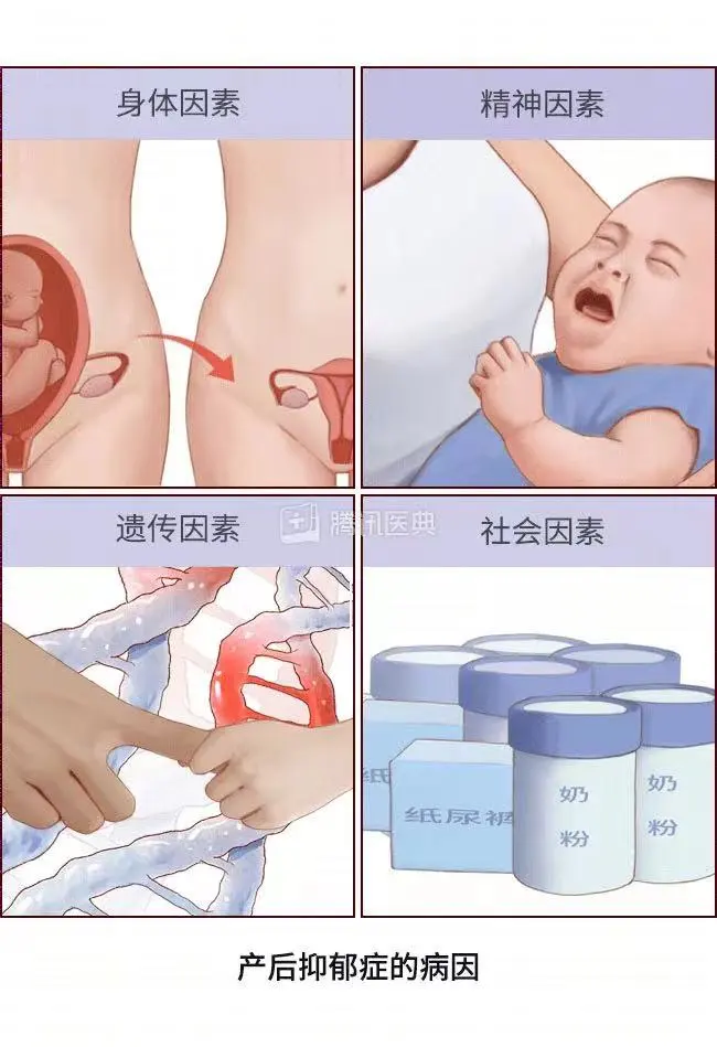 6725ce7325ed5.png