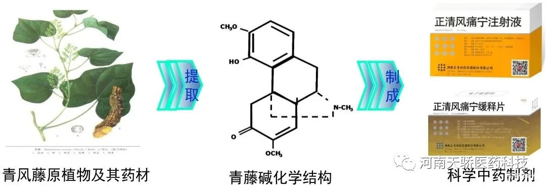 673d4a8352110.png