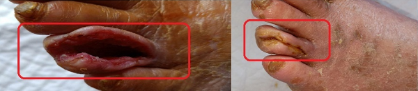 673d9fb4c4166.png