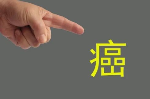 “抗癌食物清单”出炉！常吃这些食物，癌细胞都躲着走！（下）