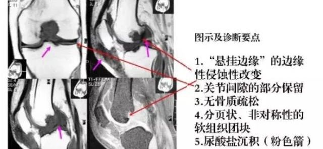 6781cf92f2b72.jpg